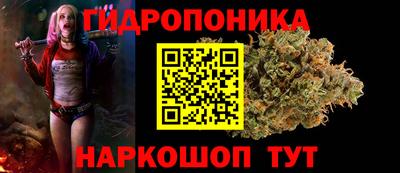 спайс Гагарин