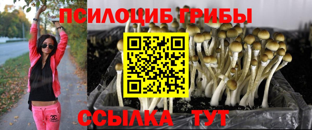 Галлюциногенные грибы Psilocybine cubensis  Вход с VPN  Долгопрудный  Галлюциногенные грибы Psilocybe 