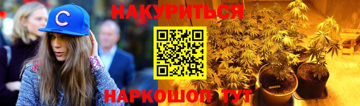 Бошки Шишки семена Долгопрудный